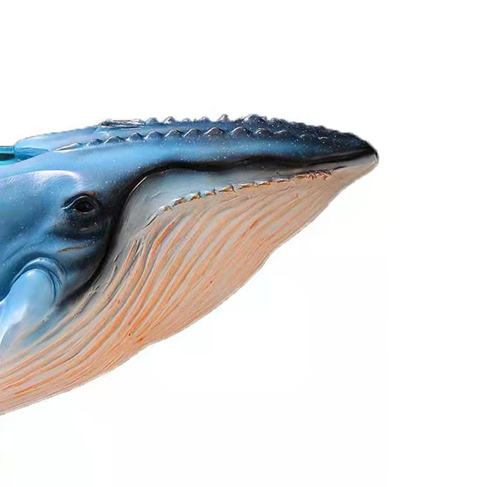 5_959a266f-eb63-478d-82ba-823b329550fb