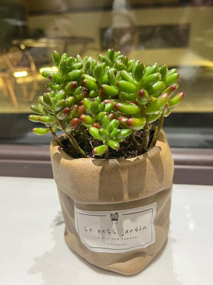 6_797a2b11-5191-49b7-b865-fa6167ea32b3