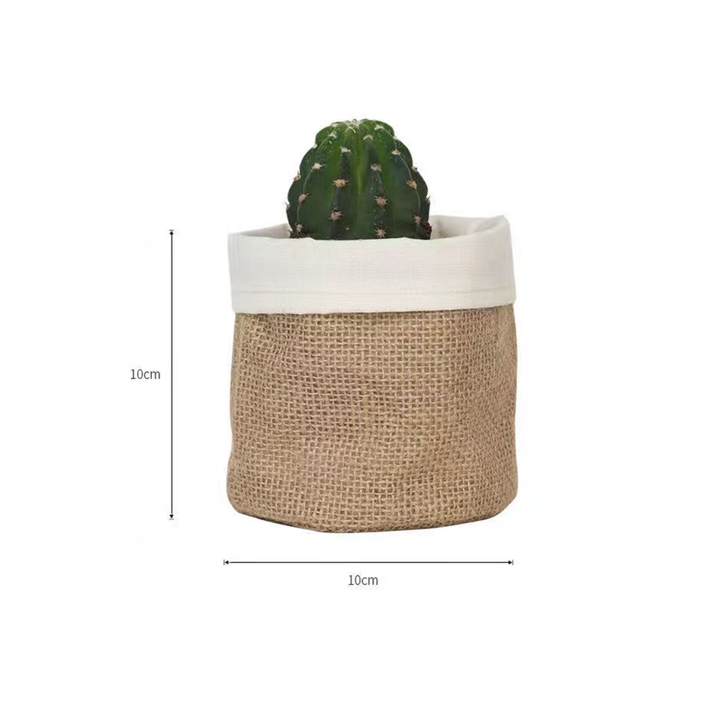 8_53db8d5d-89b9-40ac-8b24-dd993d945843