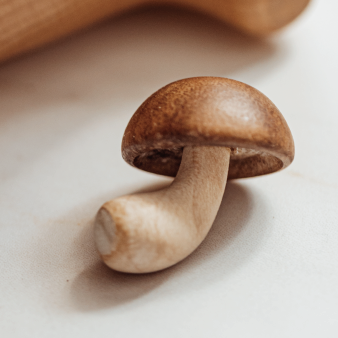 O1CN01YWfEhL2Mx2uXjoBBU__3877779893