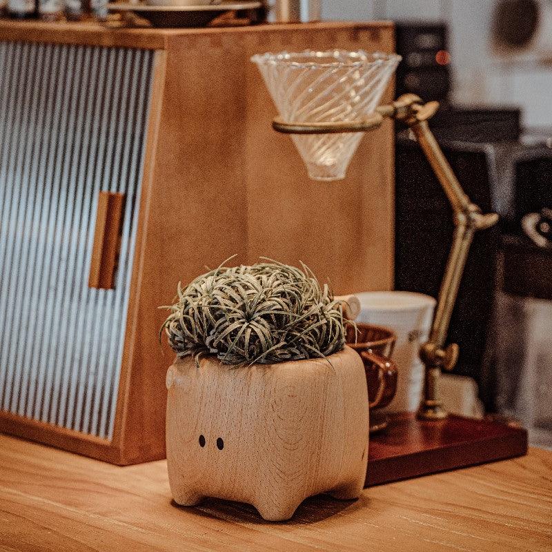 O1CN01r74XNq2Mx2xx72Gls__3877779893